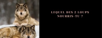 Lequel des 2 loups nourris-tu ?